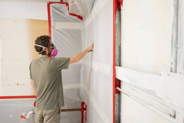 Best Emergency Mold Remediation  in Salina, UT