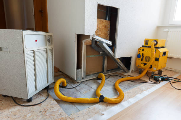  Salina, UT Mold Removal Pros