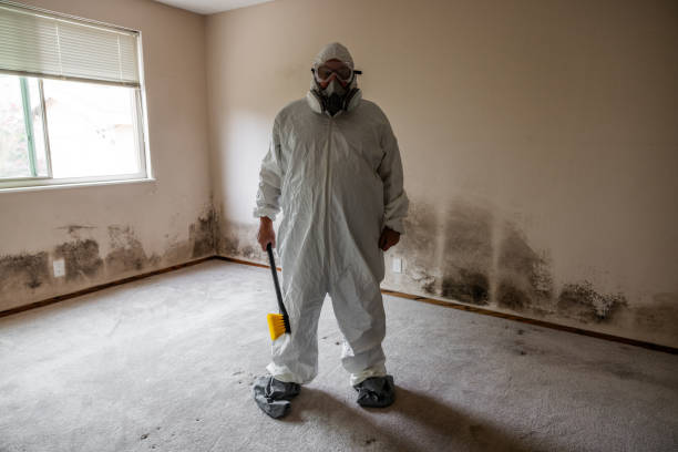 Best Mold Prevention Services  in Salina, UT
